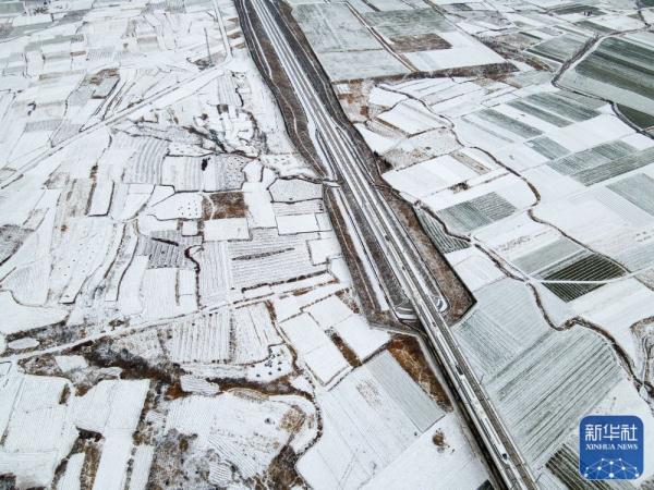 龙年春雪景色美 龙年春雪景色美