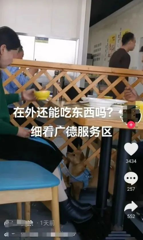 顾客用饭碗喂狗!知名餐饮回应 顾客用饭碗喂狗!知名餐饮回应