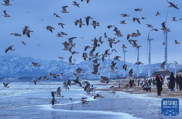 龙年春雪景色美 龙年春雪景色美