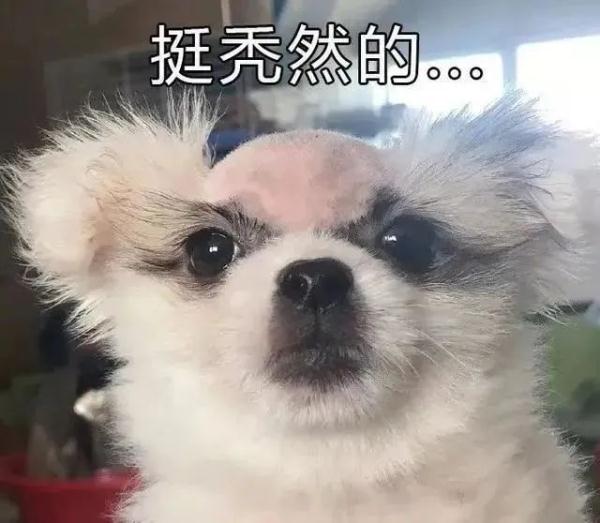 小时候是丑小鸭,长大后是白天鹅,这中间经历了什么? 小时候是丑小鸭,长大后是白天鹅,这中间经历了什么?