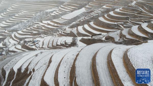龙年春雪景色美 龙年春雪景色美