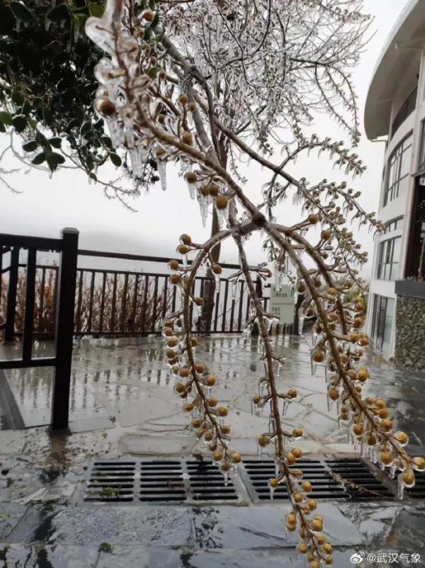 今晨武汉已出现冻雨!他们彻夜未眠 今晨武汉已出现冻雨!他们彻夜未眠