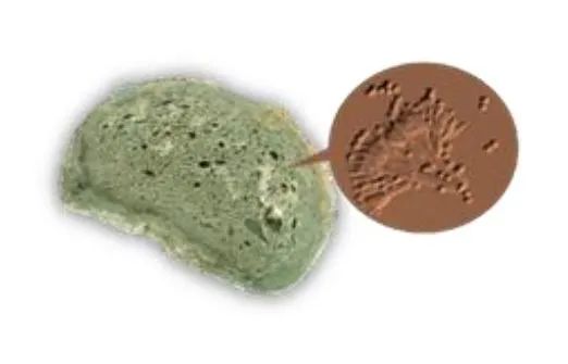 年糕发霉，切掉霉变部分就能放心吃？千万要小心……