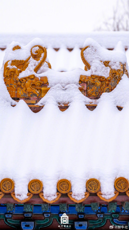 又一波！故宫红墙白雪惊艳了岁月