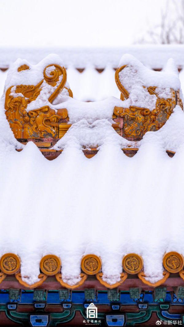 又一波！故宫红墙白雪惊艳了岁月