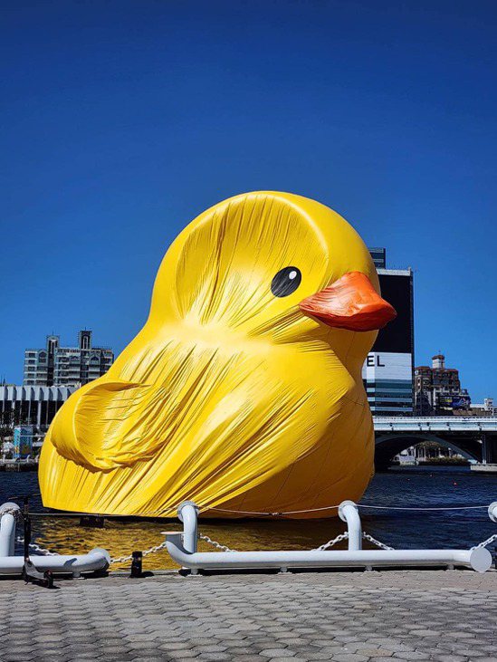 高雄小黄鸭被强风吹到脸部变形官方回应鸭力山大