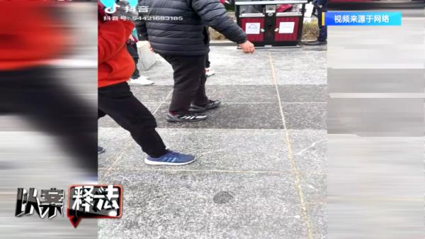 第一次见海鸥，她竟然强抓来抱着喂食！该罚……