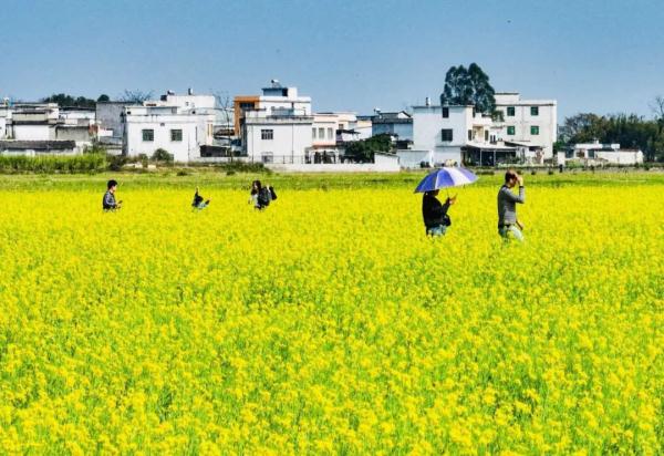 南宁气温“过山车” &nbsp;降温、降雨、大风即将登场！