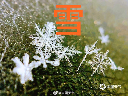 山东下的是霰不是雪