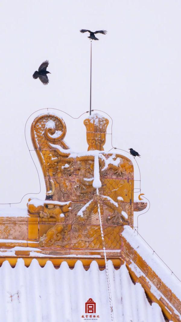 故宫雪景高清大图，来啦！