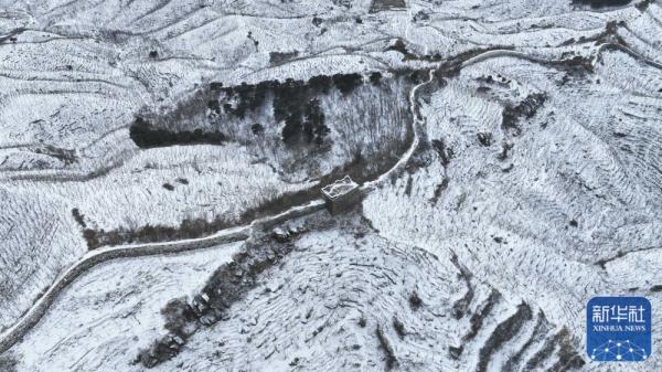龙年春雪景色美 龙年春雪景色美