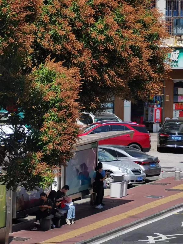 热炸了！刚刚，破32℃！厦门大反转要来了，就在……