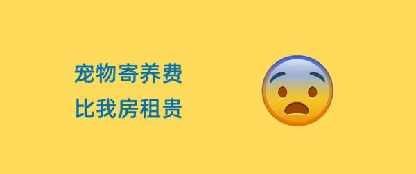 宠物寄养费，比我房租贵