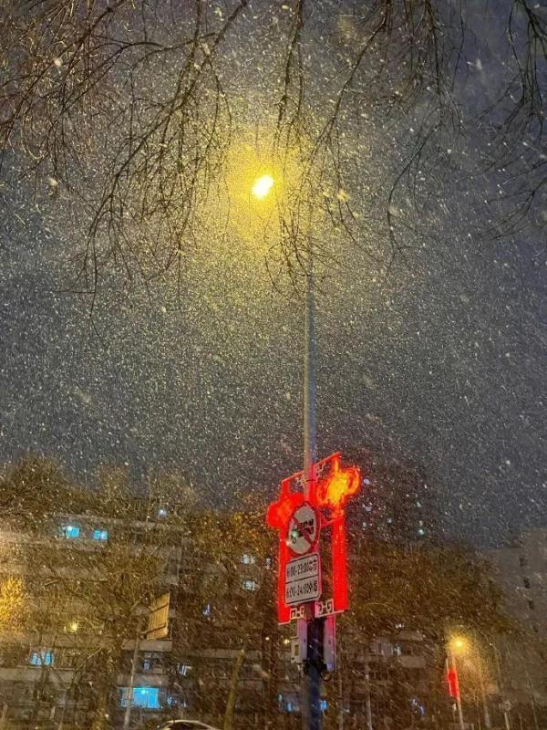 北京龙年的第一场雪，来了！