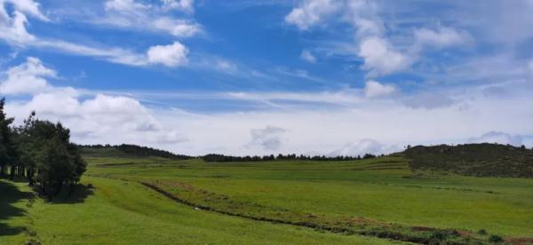 全国多地遭遇寒潮,云南天气却"冰火两重天",为何冷空气来到云南就会减弱? 全国多地遭遇寒潮,云南天气却"冰火两重天",为何冷空气来到云南就会减弱?