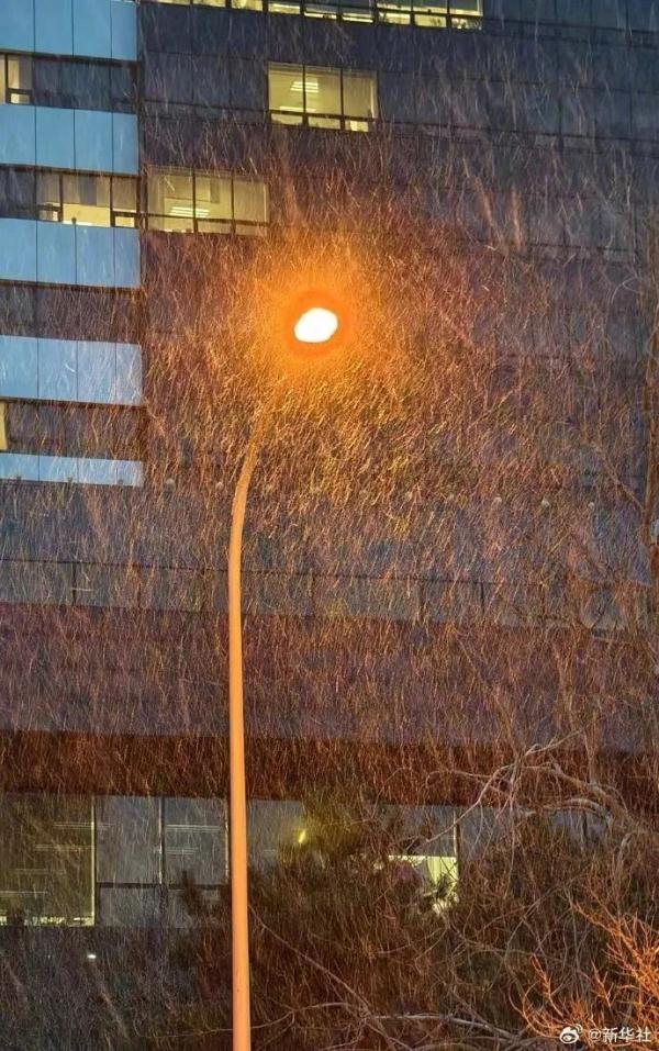 北京龙年的第一场雪，来了！