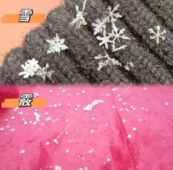 结冰黄色预警！苏州人下班路上请注意！