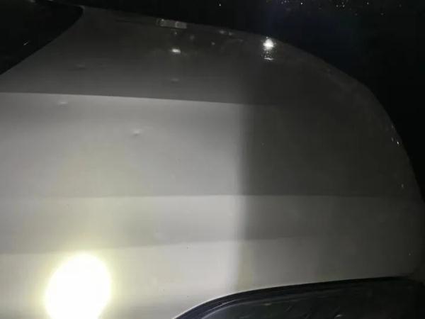 一觉醒来，杭州下过雪了？昨晚浙江多地下冰雹，有的砂糖橘大小