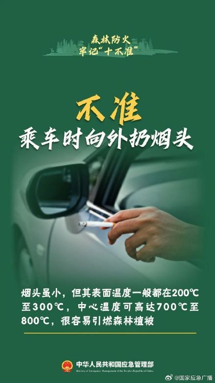 贵阳8场山火10人被处理 森林防火“十不准”请谨记