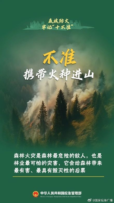 贵阳8场山火10人被处理 森林防火“十不准”请谨记