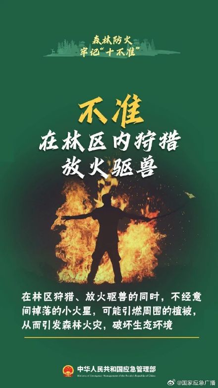 贵阳8场山火10人被处理 森林防火“十不准”请谨记