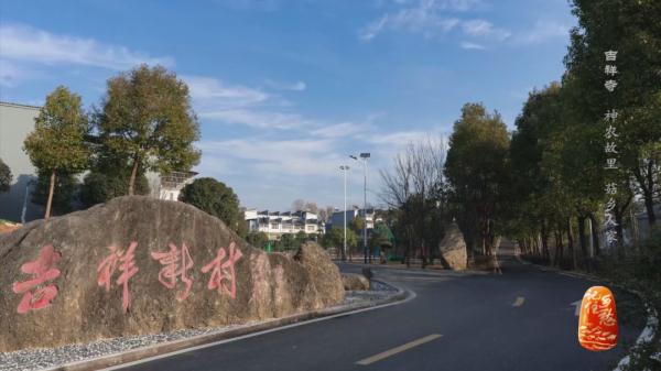 “买全国、卖世界”，神农故里的菇，种得叫一个棒！