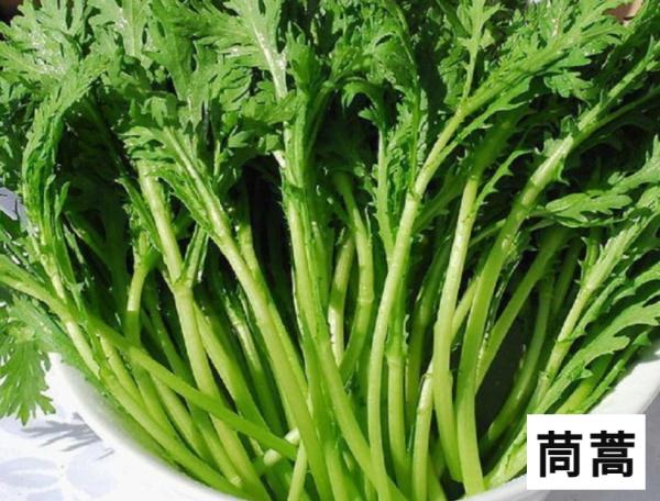 罂粟“撞脸”蔬菜真的分不清？攻略奉上！