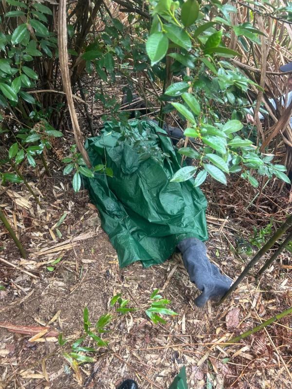 男子山中失联三天三夜！一声狗吠，奇迹出现了