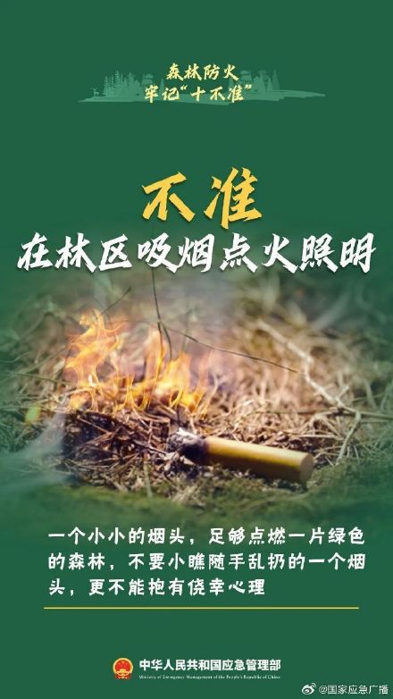 贵阳8场山火10人被处理 森林防火“十不准”请谨记