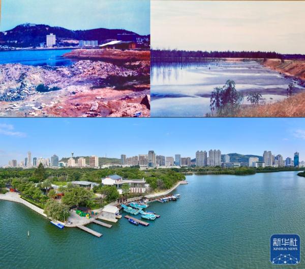 新华全媒+｜从臭水湖到“城市会客厅”——厦门筼筜湖的生态蝶变