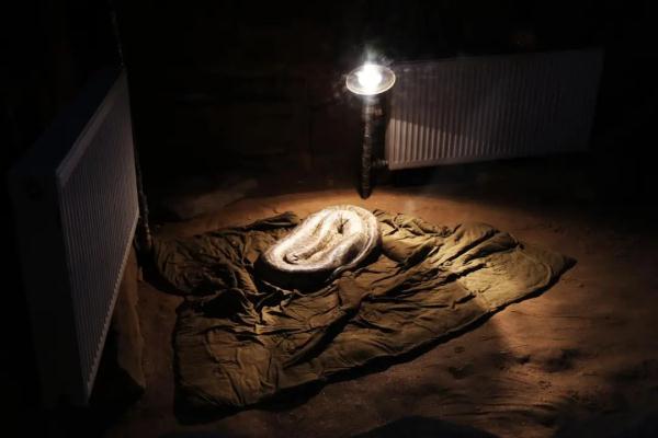 超暖心！长沙生态动物园防寒保暖出绝招：地暖、浴霸、大棉被……