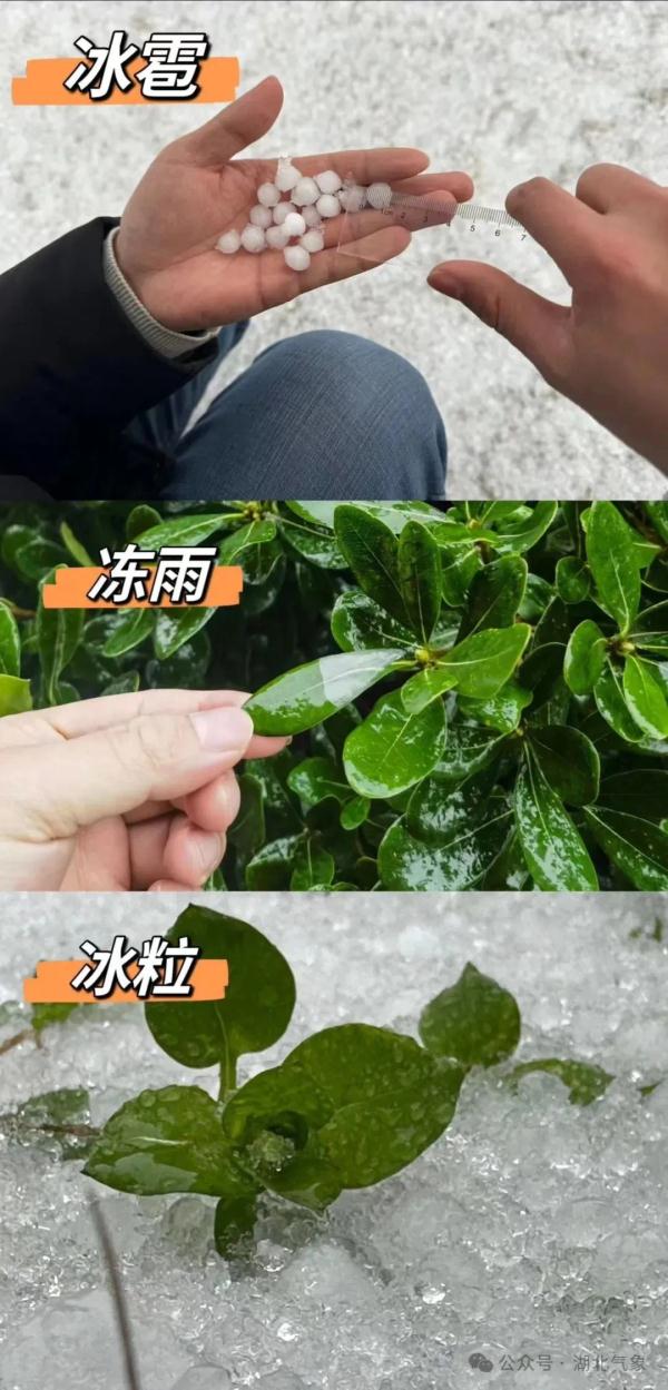 结冰黄色预警！苏州人下班路上请注意！