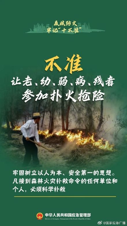 贵阳8场山火10人被处理 森林防火“十不准”请谨记