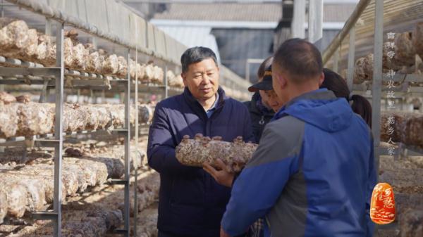 “买全国、卖世界”，神农故里的菇，种得叫一个棒！