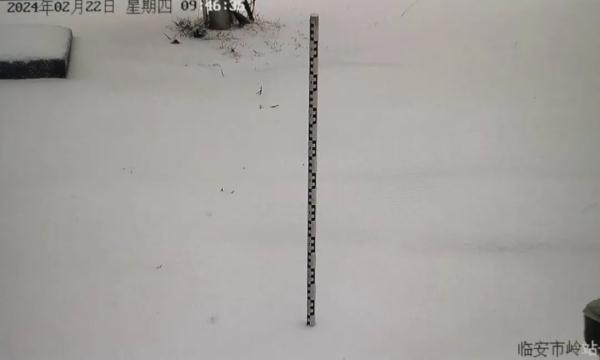 严重冰冻！预警来了！接下来，杭州的天气太扎心！不过也有好消息…