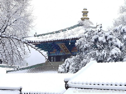 雪后少林寺禅意浓