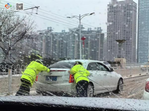 “速动”VS“速冻”！