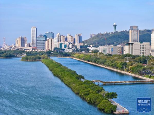 新华全媒+｜从臭水湖到“城市会客厅”——厦门筼筜湖的生态蝶变