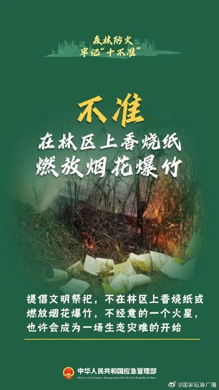 贵阳8场山火10人被处理 森林防火“十不准”请谨记