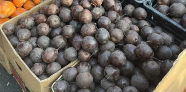 4大箱冻梨和冻柿子!陆晶晶,你有一个哈尔滨来的快递! 4大箱冻梨和冻柿子!陆晶晶,你有一个哈尔滨来的快递!