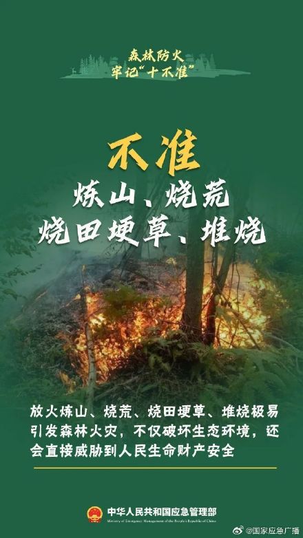贵阳8场山火10人被处理 森林防火“十不准”请谨记