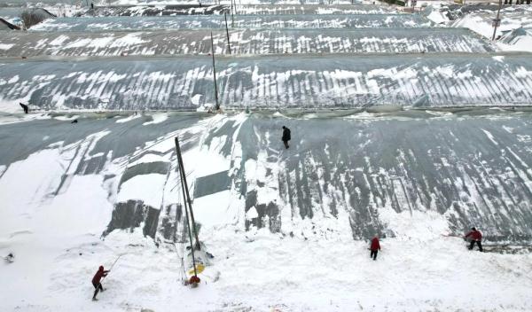 寒潮中，他们坚守岗位