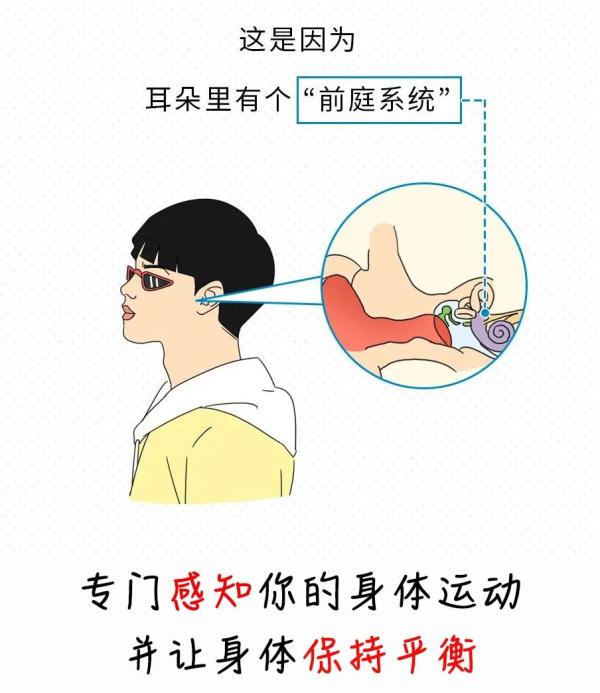 坐车一看手机就想吐，原来是这个原因
