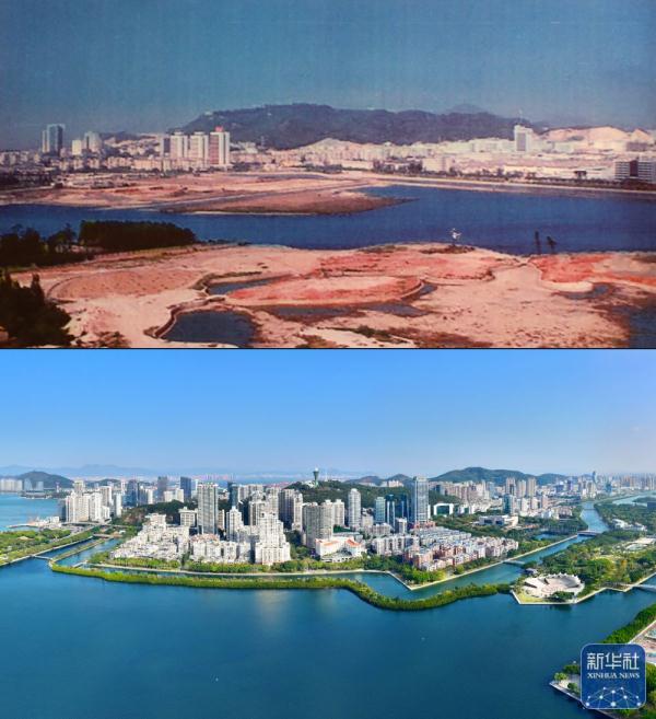 新华全媒+｜从臭水湖到“城市会客厅”——厦门筼筜湖的生态蝶变