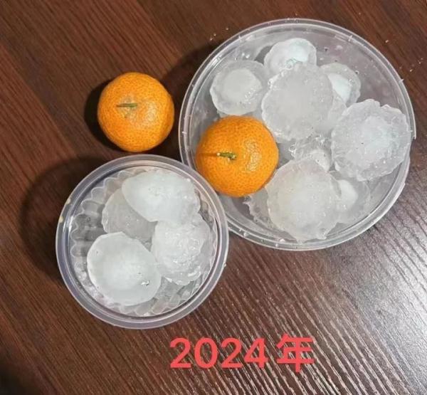 一觉醒来，杭州下过雪了？昨晚浙江多地下冰雹，有的砂糖橘大小