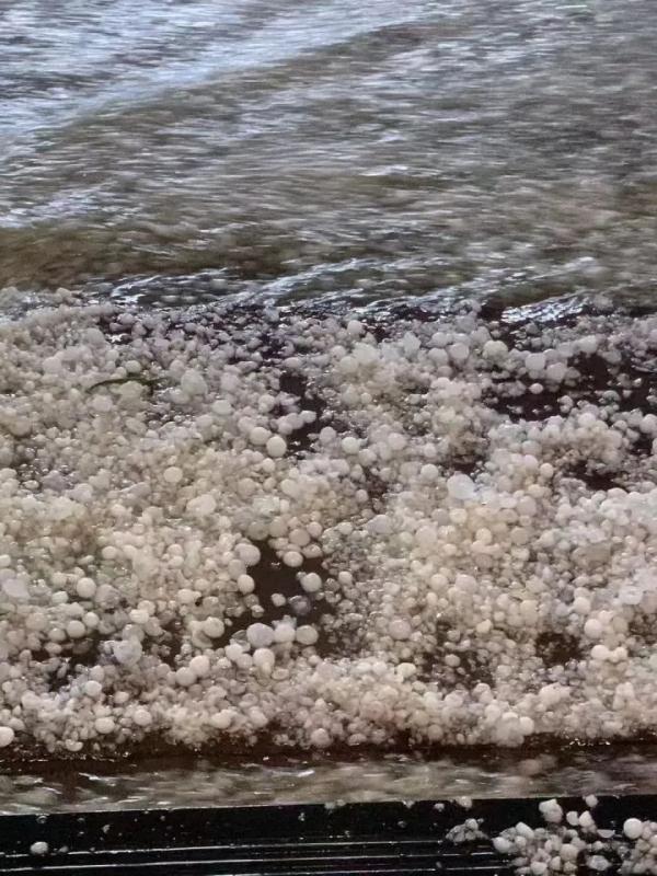 一觉醒来，杭州下过雪了？昨晚浙江多地下冰雹，有的砂糖橘大小