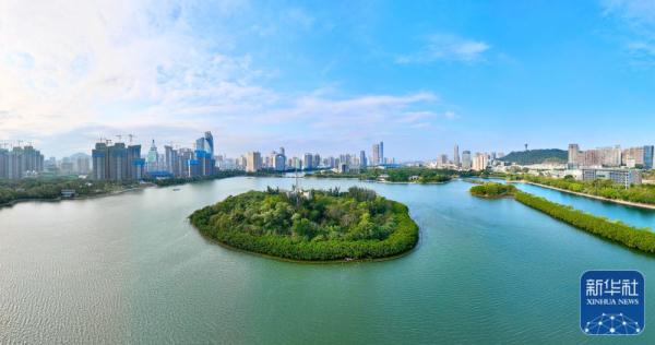 新华全媒+｜从臭水湖到“城市会客厅”——厦门筼筜湖的生态蝶变