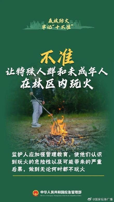 贵阳8场山火10人被处理 森林防火“十不准”请谨记