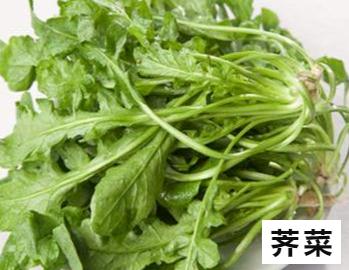 罂粟“撞脸”蔬菜真的分不清？攻略奉上！