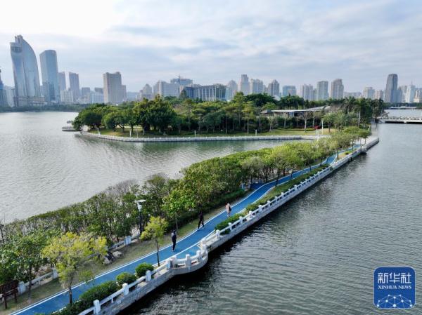 新华全媒+｜从臭水湖到“城市会客厅”——厦门筼筜湖的生态蝶变